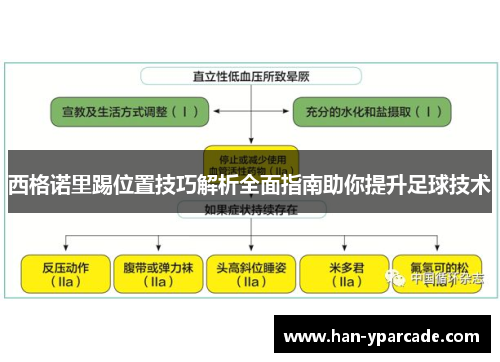 西格诺里踢位置技巧解析全面指南助你提升足球技术