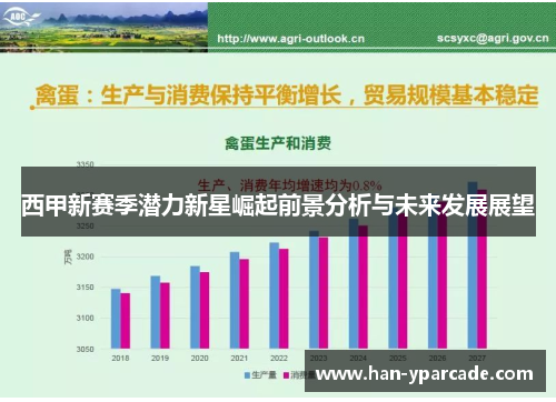 西甲新赛季潜力新星崛起前景分析与未来发展展望