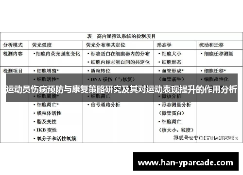 运动员伤病预防与康复策略研究及其对运动表现提升的作用分析
