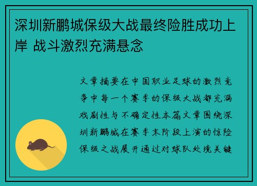 深圳新鹏城保级大战最终险胜成功上岸 战斗激烈充满悬念